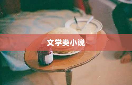 文学类小说