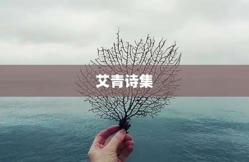 艾青诗集