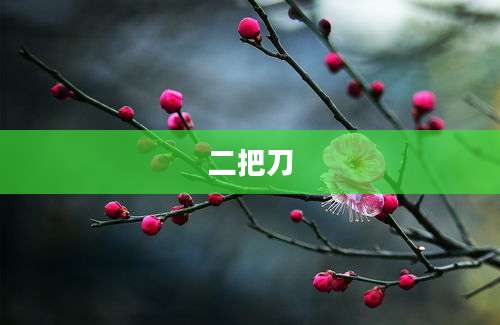 二把刀
