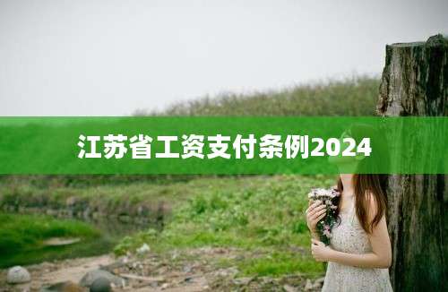 江苏省工资支付条例2024