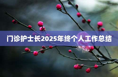 门诊护士长2025年终个人工作总结