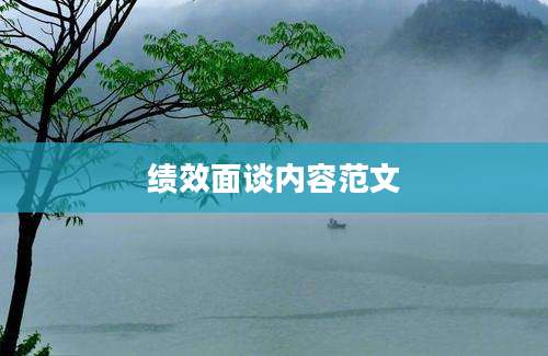 绩效面谈内容范文