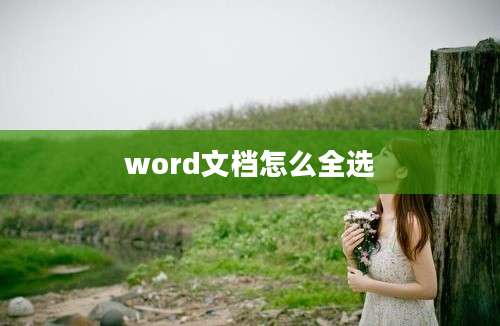 word文档怎么全选
