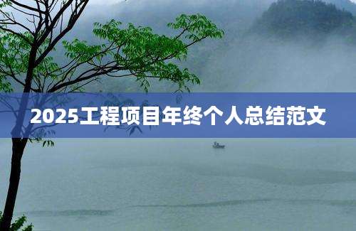 2025工程项目年终个人总结范文