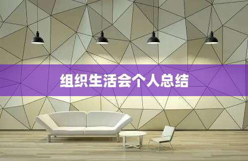 组织生活会个人总结