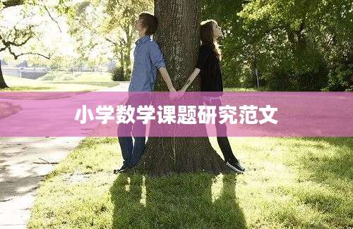 小学数学课题研究范文