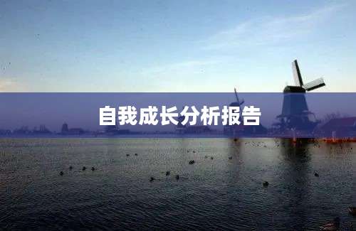 自我成长分析报告