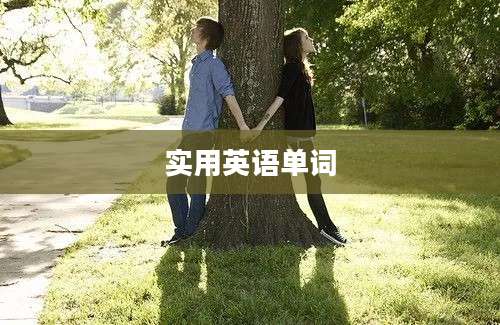 实用英语单词