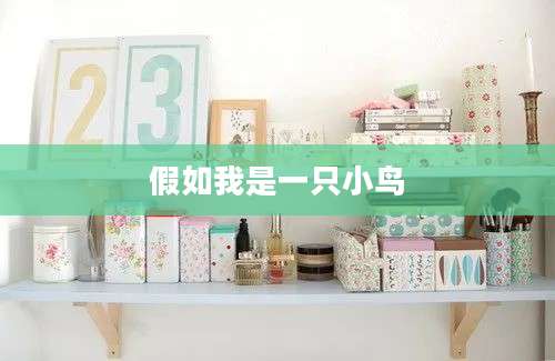 假如我是一只小鸟