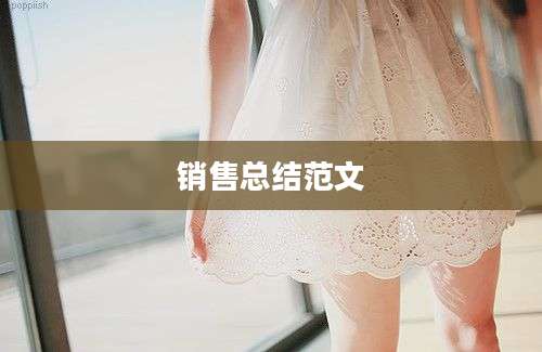 销售总结范文