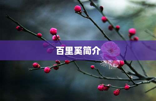 百里奚简介
