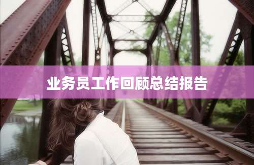 业务员工作回顾总结报告