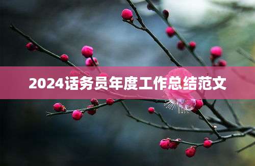 2024话务员年度工作总结范文