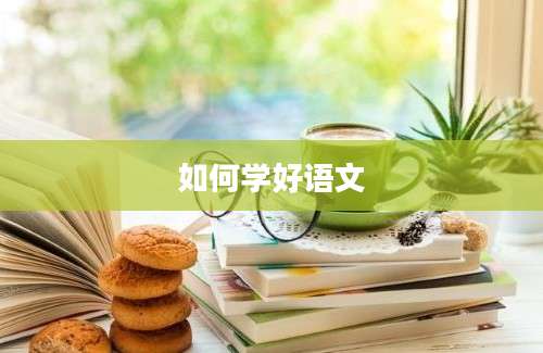 如何学好语文