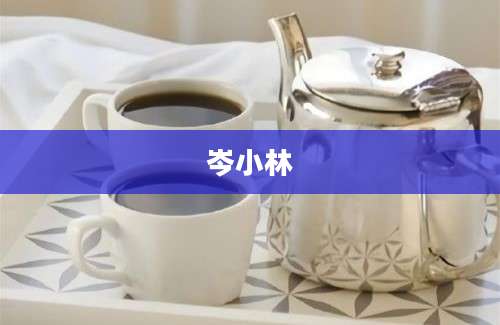 岑小林
