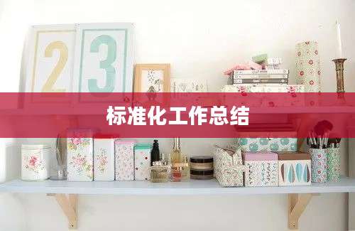 标准化工作总结