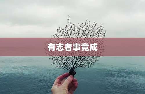 有志者事竞成