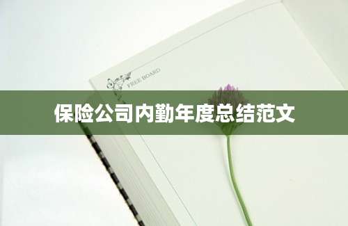 保险公司内勤年度总结范文