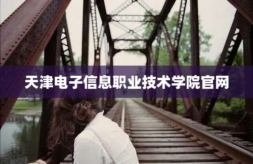 天津电子信息职业技术学院官网