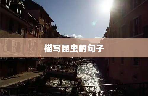 描写昆虫的句子