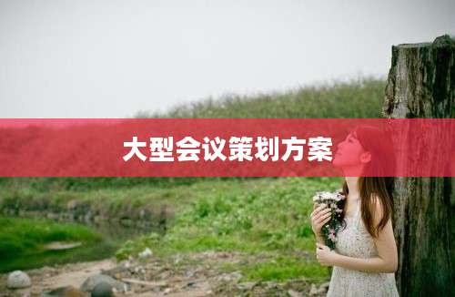 大型会议策划方案