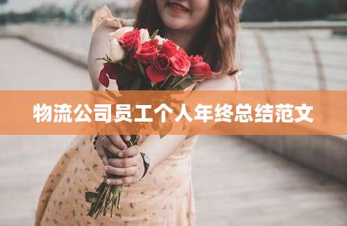 物流公司员工个人年终总结范文