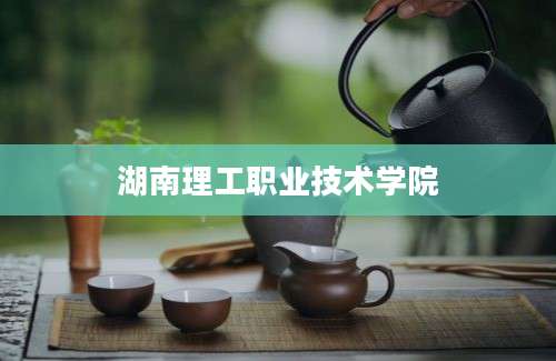 湖南理工职业技术学院