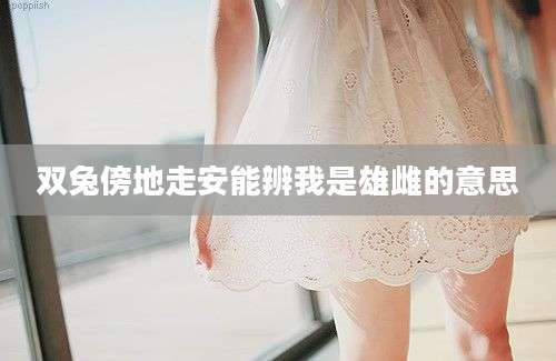 双兔傍地走安能辨我是雄雌的意思