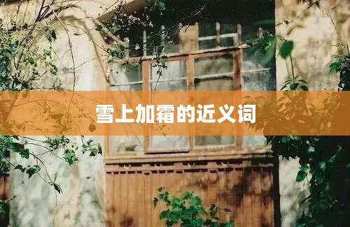 雪上加霜的近义词