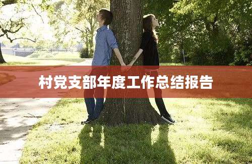 村党支部年度工作总结报告