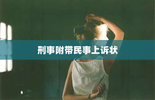 刑事附带民事上诉状