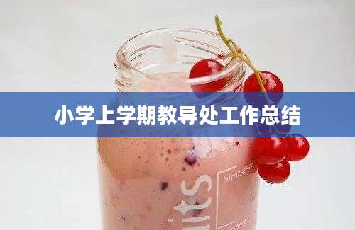 小学上学期教导处工作总结