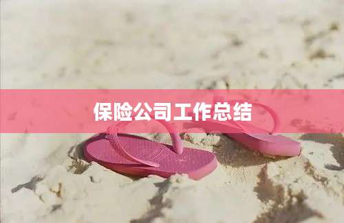 保险公司工作总结