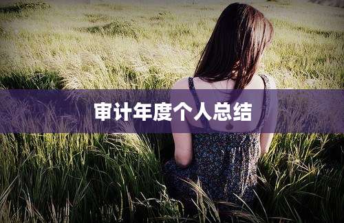 审计年度个人总结