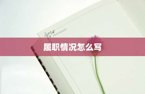 履职情况怎么写