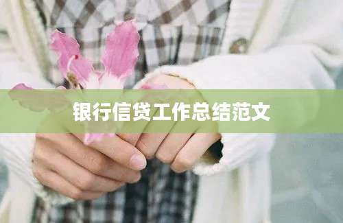 银行信贷工作总结范文