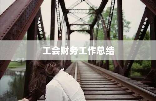 工会财务工作总结