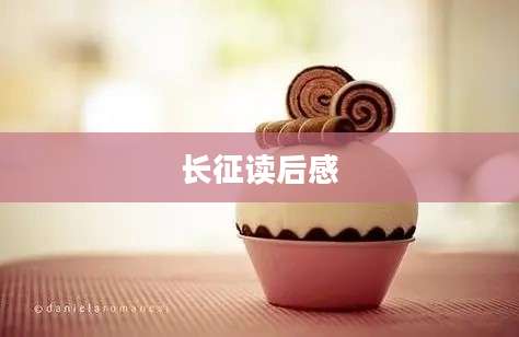 长征读后感