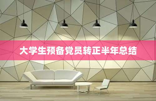 大学生预备党员转正半年总结