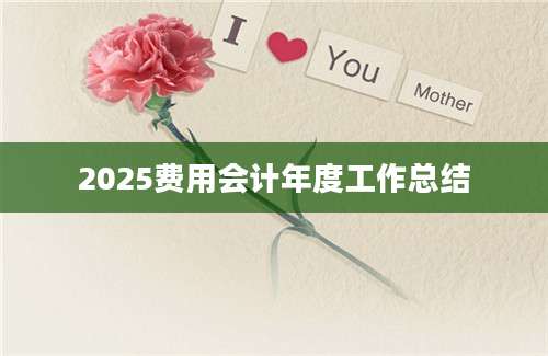 2025费用会计年度工作总结