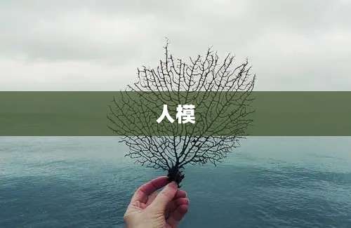 人模