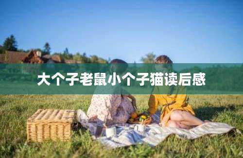 大个子老鼠小个子猫读后感
