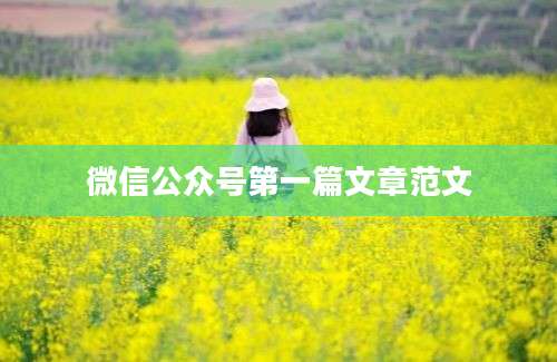 微信公众号第一篇文章范文