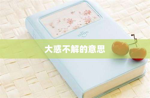 大惑不解的意思