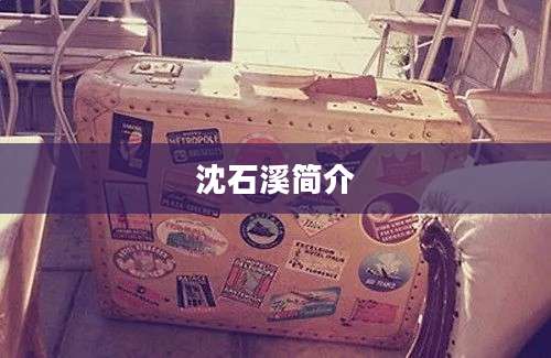 沈石溪简介