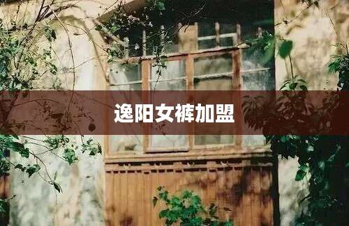 逸阳女裤加盟
