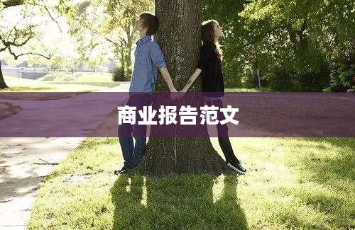 商业报告范文