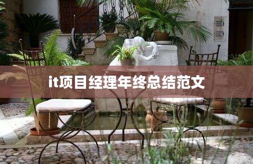it项目经理年终总结范文