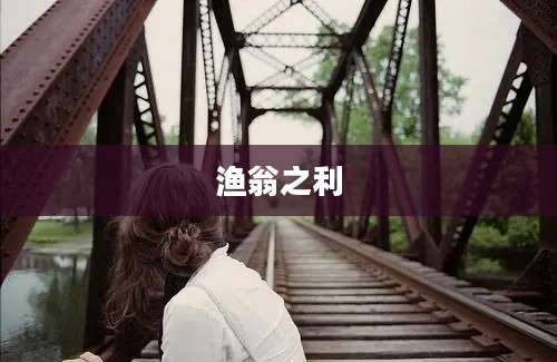渔翁之利
