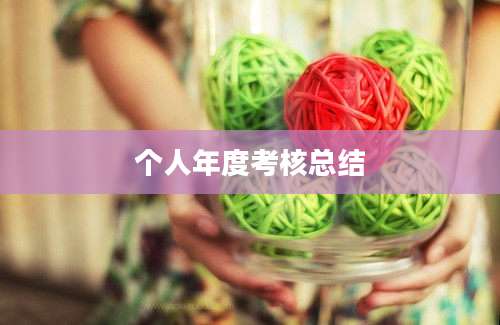 个人年度考核总结